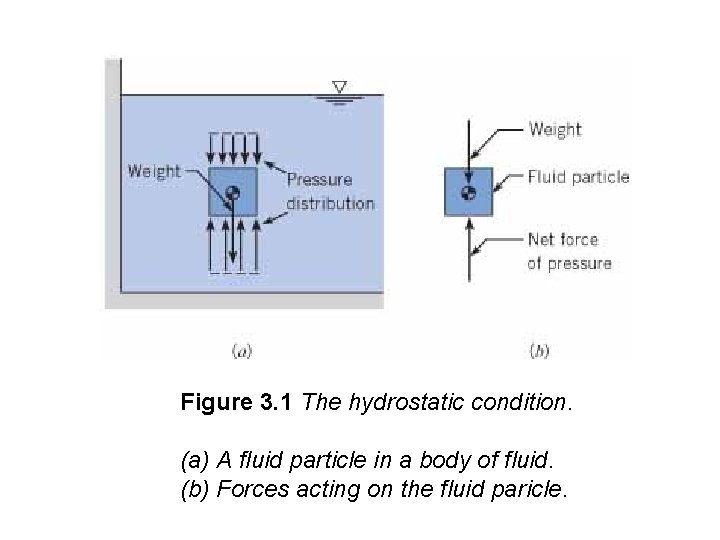 Figure 3. 1 The hydrostatic condition. (a) A fluid particle in a body of