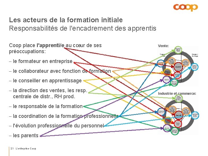 Les acteurs de la formation initiale Responsabilités de l'encadrement des apprentis Coop place l'apprenti/e