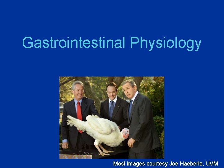 Gastrointestinal Physiology Most images courtesy Joe Haeberle, UVM 