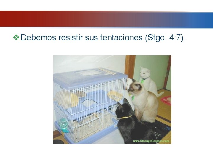 v Debemos resistir sus tentaciones (Stgo. 4: 7). v Debemos resistir sus tentaciones (Stgo. 4: 7).