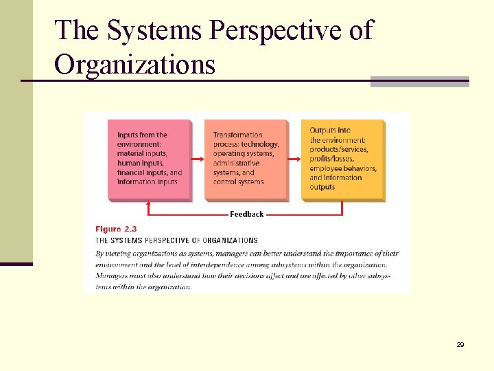 The Systems Perspective of Organizations 29 