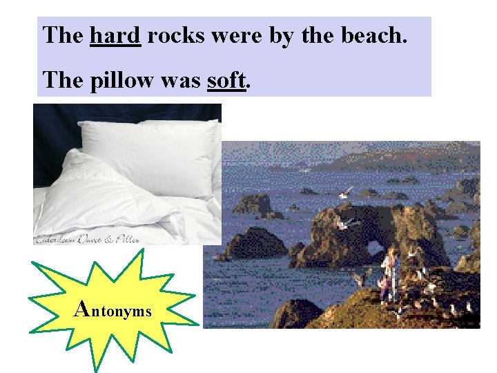 The hard rocks were by the beach. The pillow was soft. Antonyms 