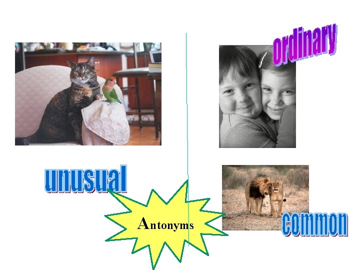 Antonyms 
