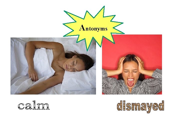Antonyms 