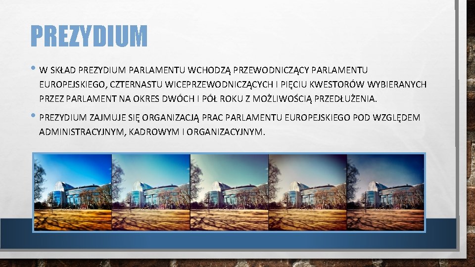 PREZYDIUM • W SKŁAD PREZYDIUM PARLAMENTU WCHODZĄ PRZEWODNICZĄCY PARLAMENTU EUROPEJSKIEGO, CZTERNASTU WICEPRZEWODNICZĄCYCH I PIĘCIU