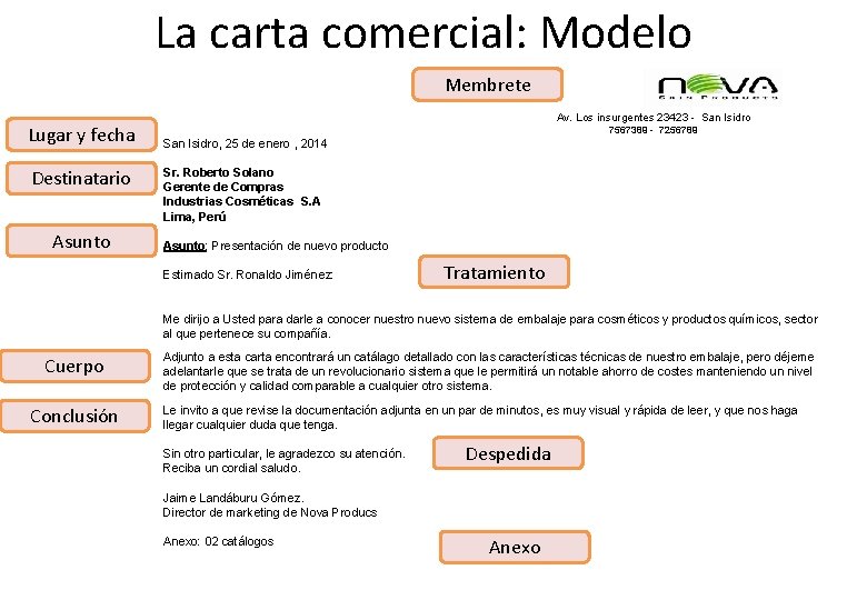 La carta comercial: Modelo Membrete Lugar y fecha Destinatario Asunto Av. Los insurgentes 23423