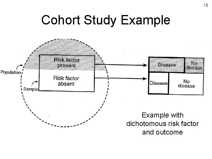 15 Cohort Study Example with dichotomous risk factor and outcome 