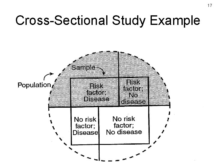 17 Cross-Sectional Study Example 