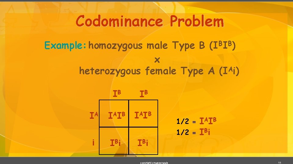 Codominance Problem Example: homozygous male Type B (IBIB) x heterozygous female Type A (IAi)