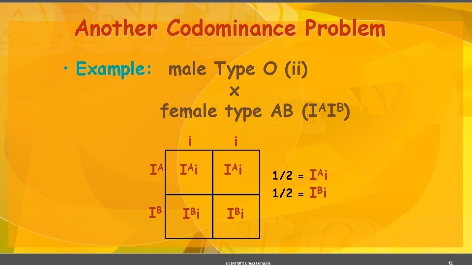 Another Codominance Problem • Example: male Type O (ii) x female type AB (IAIB)