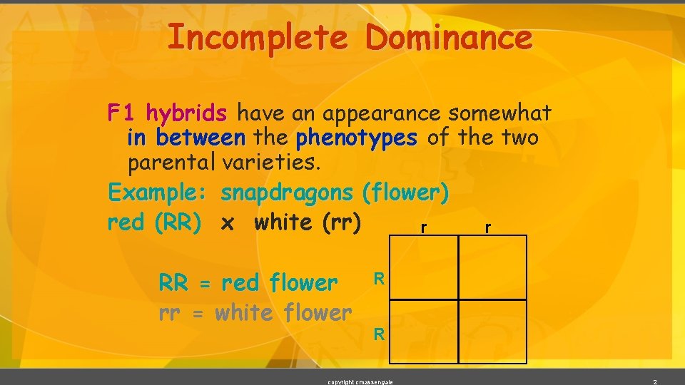 Incomplete Dominance F 1 hybrids have an appearance somewhat in between the phenotypes of