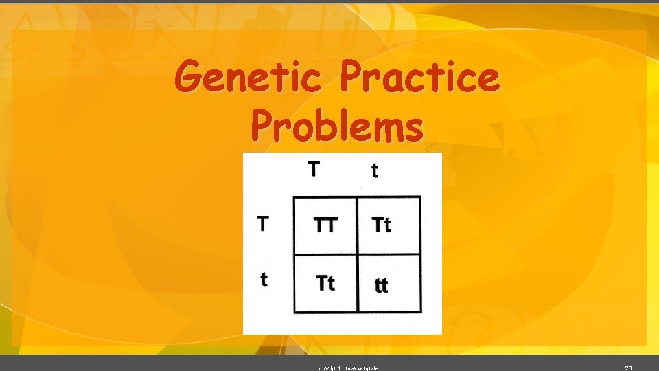 Genetic Practice Problems copyright cmassengale 20 