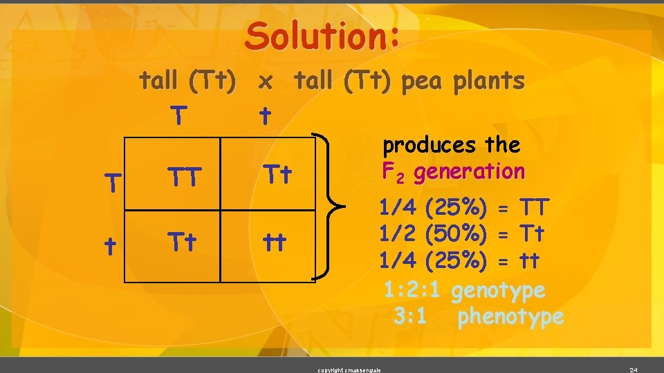 Solution: tall (Tt) x tall (Tt) pea plants T t T TT Tt tt