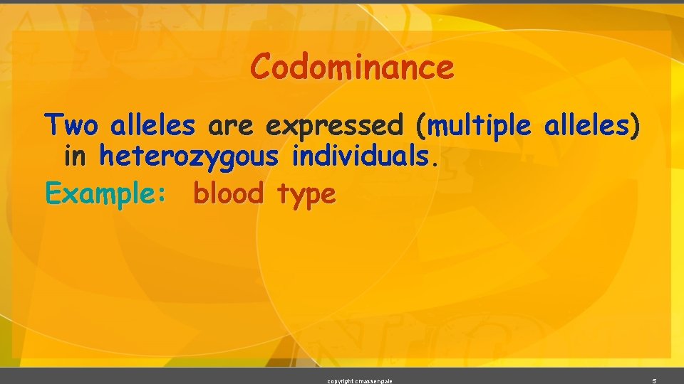 Codominance Two alleles are expressed (multiple alleles) in heterozygous individuals. Example: blood type copyright