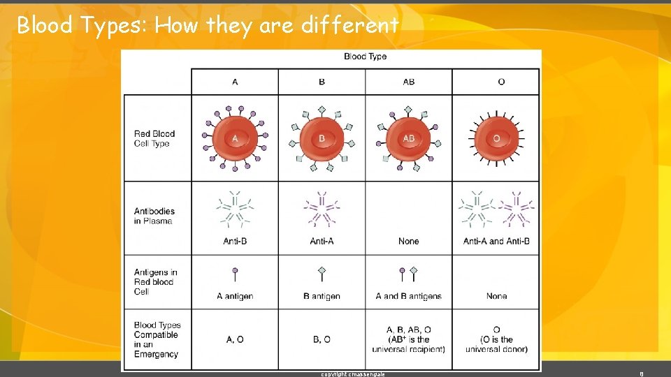 Blood Types: How they are different copyright cmassengale 8 