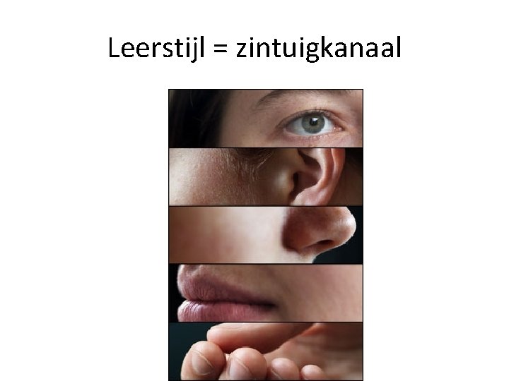 Leerstijl = zintuigkanaal 