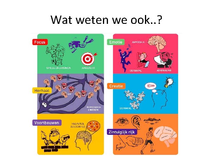 Wat weten we ook. . ? 