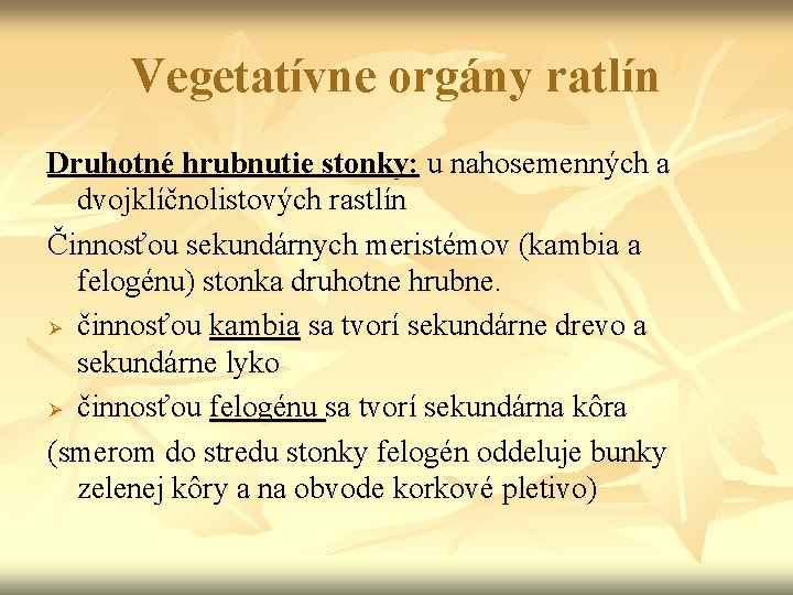 Vegetatívne orgány ratlín Druhotné hrubnutie stonky: u nahosemenných a dvojklíčnolistových rastlín Činnosťou sekundárnych meristémov Vegetatívne orgány ratlín Druhotné hrubnutie stonky: u nahosemenných a dvojklíčnolistových rastlín Činnosťou sekundárnych meristémov