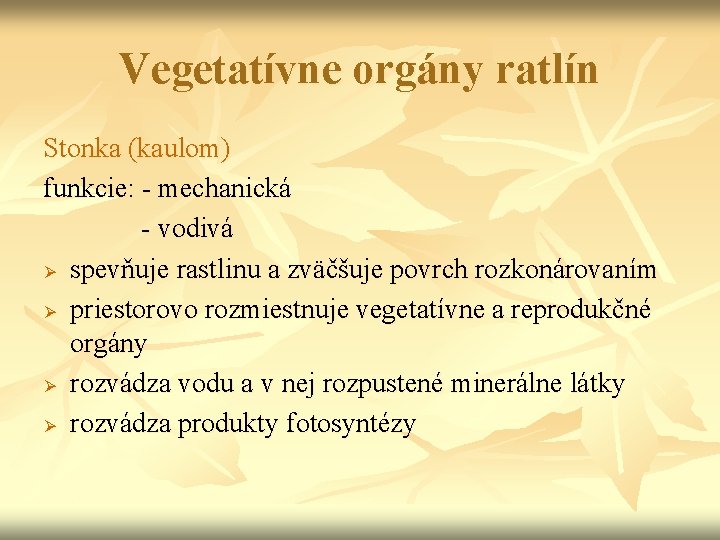 Vegetatívne orgány ratlín Stonka (kaulom) funkcie: - mechanická - vodivá Ø spevňuje rastlinu a Vegetatívne orgány ratlín Stonka (kaulom) funkcie: - mechanická - vodivá Ø spevňuje rastlinu a