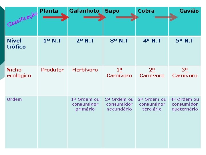 ão ç a fic Planta Gafanhoto Sapo Cobra Gavião ssi a l C Nível