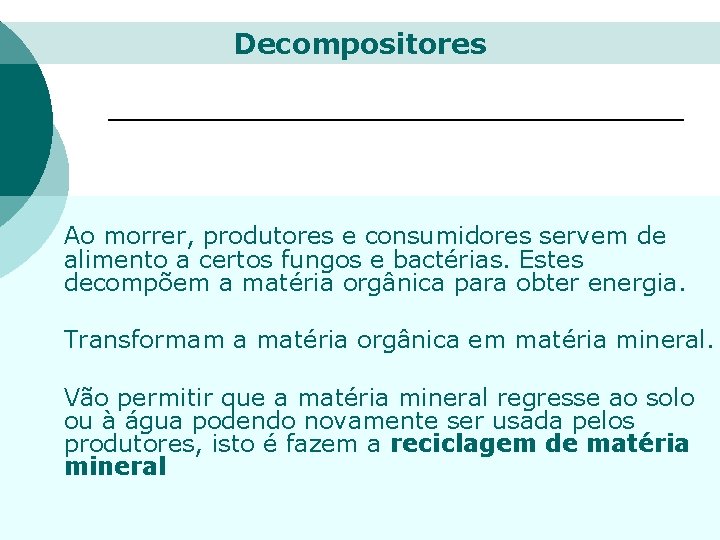 Decompositores Ao morrer, produtores e consumidores servem de alimento a certos fungos e bactérias.