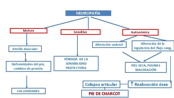 NEUROPATÍA Motora Sensitiva Alteración sudoral Atrofia muscular Deformidades del pie, cambios de presión Autonómica