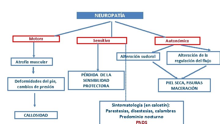 NEUROPATÍA Motora Sensitiva Alteración sudoral Atrofia muscular Deformidades del pie, cambios de presión CALLOSIDAD