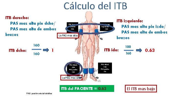 Cálculo del ITB derecho: PAS mas alta pie dcho/ PAS mas alta de ambos