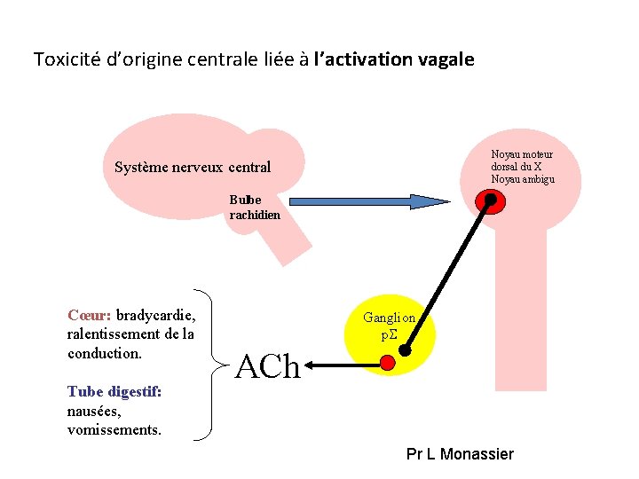 Toxicité d’origine centrale liée à l’activation vagale Noyau moteur dorsal du X Noyau ambigu