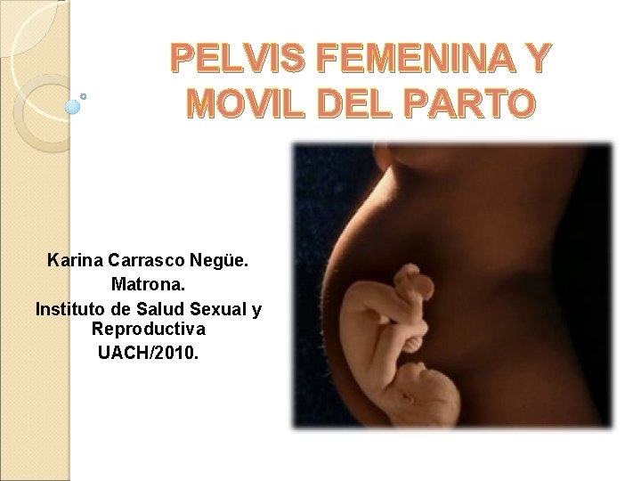 PELVIS FEMENINA Y MOVIL DEL PARTO Karina Carrasco Negüe. Matrona. Instituto de Salud Sexual