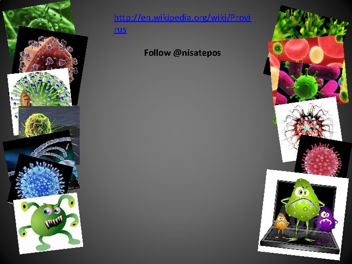 http: //en. wikipedia. org/wiki/Provi rus Follow @nisatepos 