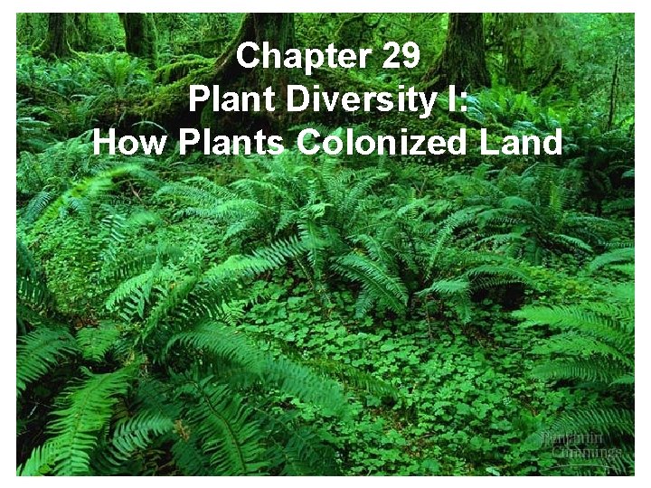Chapter 29 Plant Diversity I: How Plants Colonized Land Chapter 29 Plant Diversity I: How Plants Colonized Land