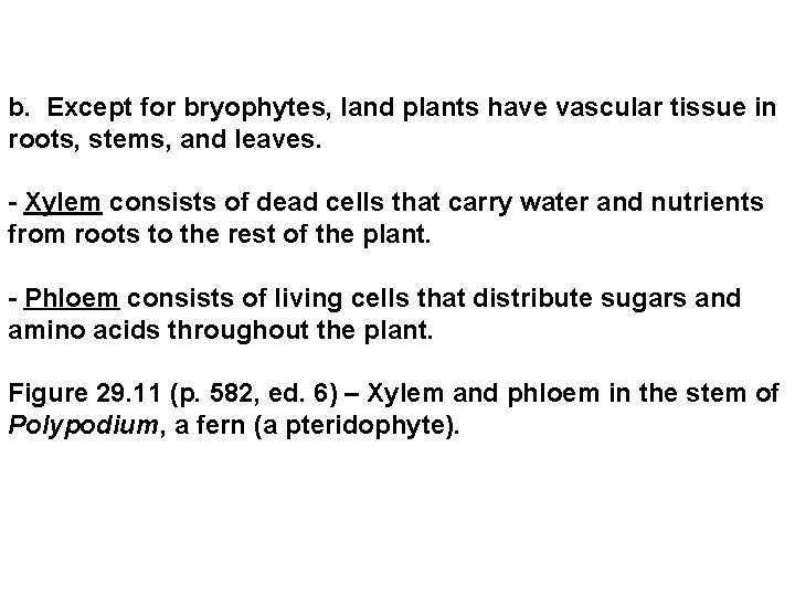 b. Except for bryophytes, land plants have vascular tissue in roots, stems, and leaves. b. Except for bryophytes, land plants have vascular tissue in roots, stems, and leaves.