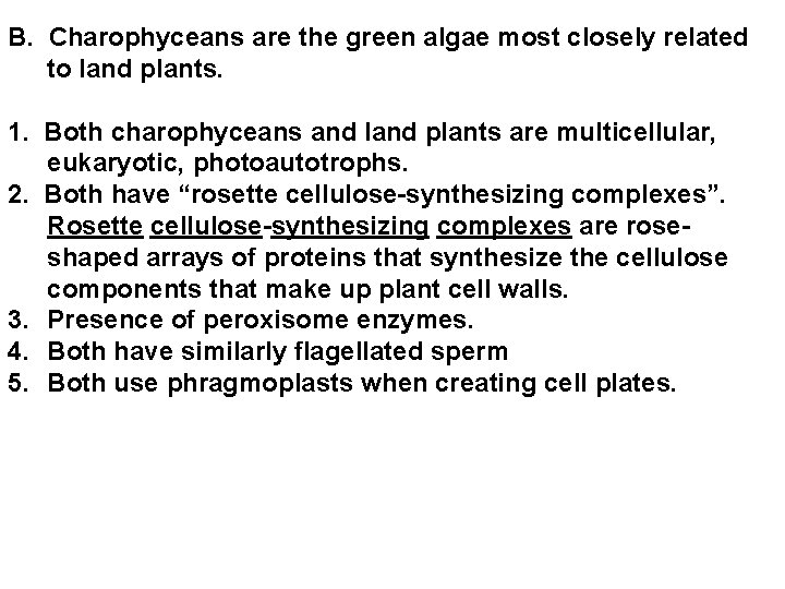 B. Charophyceans are the green algae most closely related to land plants. 1. Both B. Charophyceans are the green algae most closely related to land plants. 1. Both