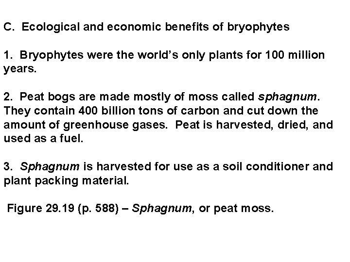 C. Ecological and economic benefits of bryophytes 1. Bryophytes were the world’s only plants C. Ecological and economic benefits of bryophytes 1. Bryophytes were the world’s only plants