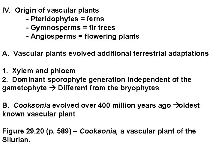 IV. Origin of vascular plants - Pteridophytes = ferns - Gymnosperms = fir trees IV. Origin of vascular plants - Pteridophytes = ferns - Gymnosperms = fir trees