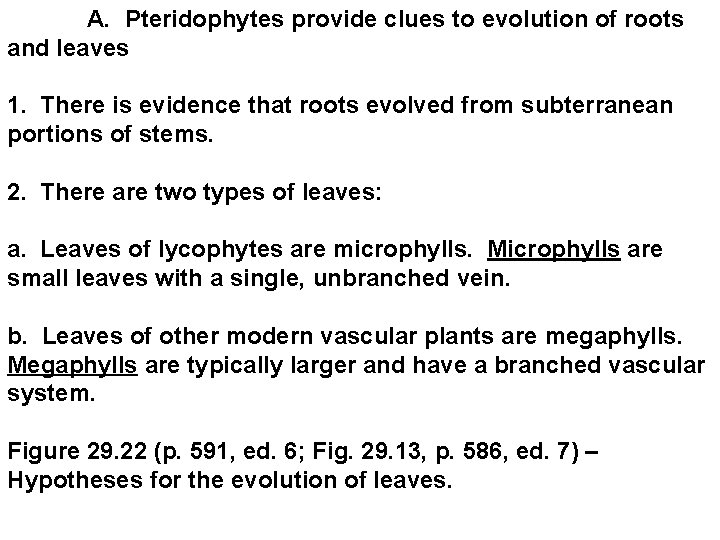 A. Pteridophytes provide clues to evolution of roots and leaves 1. There is A. Pteridophytes provide clues to evolution of roots and leaves 1. There is