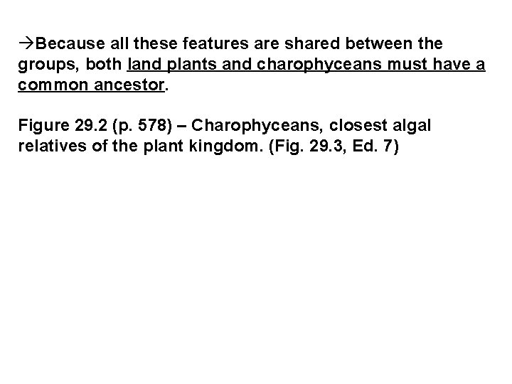 àBecause all these features are shared between the groups, both land plants and charophyceans àBecause all these features are shared between the groups, both land plants and charophyceans