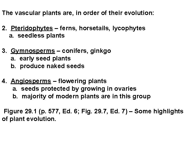 The vascular plants are, in order of their evolution: 2. Pteridophytes – ferns, horsetails, The vascular plants are, in order of their evolution: 2. Pteridophytes – ferns, horsetails,
