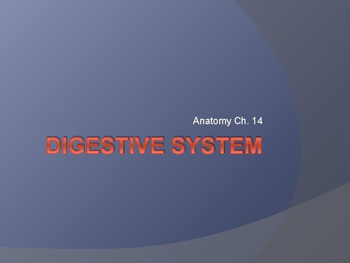 Anatomy Ch. 14 DIGESTIVE SYSTEM Anatomy Ch. 14 DIGESTIVE SYSTEM