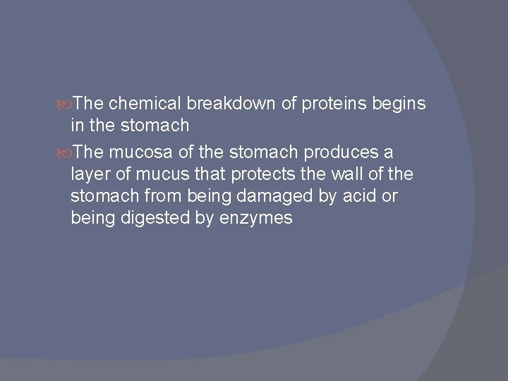 The chemical breakdown of proteins begins in the stomach The mucosa of the The chemical breakdown of proteins begins in the stomach The mucosa of the