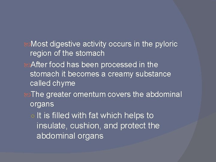 Most digestive activity occurs in the pyloric region of the stomach After food Most digestive activity occurs in the pyloric region of the stomach After food