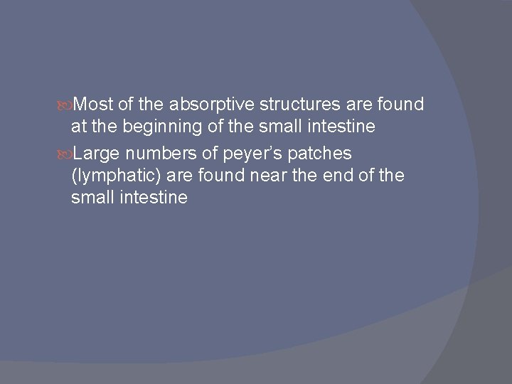 Most of the absorptive structures are found at the beginning of the small Most of the absorptive structures are found at the beginning of the small