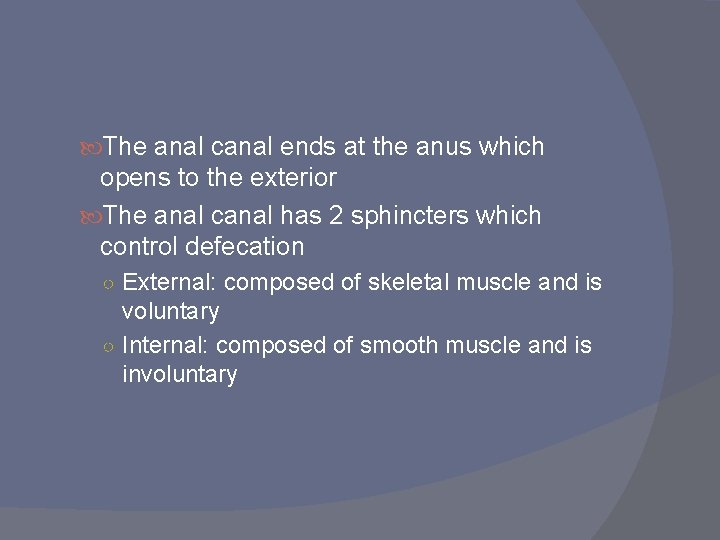 The anal canal ends at the anus which opens to the exterior The The anal canal ends at the anus which opens to the exterior The