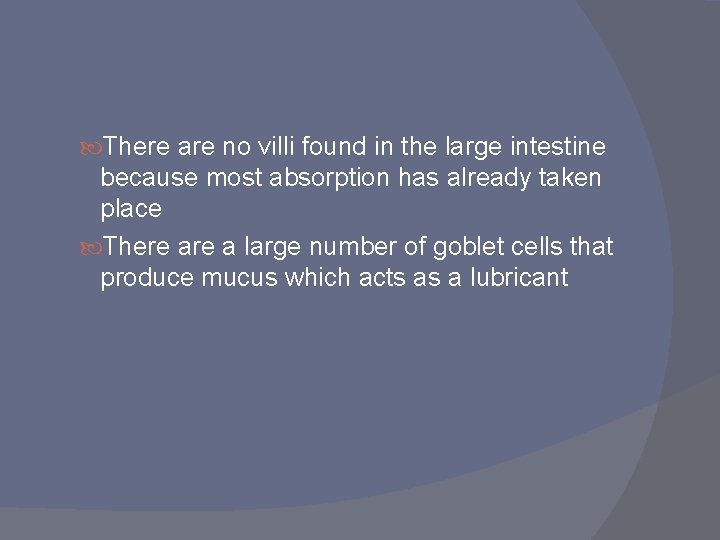 There are no villi found in the large intestine because most absorption has There are no villi found in the large intestine because most absorption has