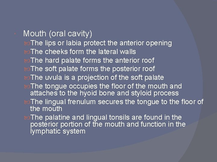 Mouth (oral cavity) The The The lips or labia protect the anterior opening Mouth (oral cavity) The The The lips or labia protect the anterior opening