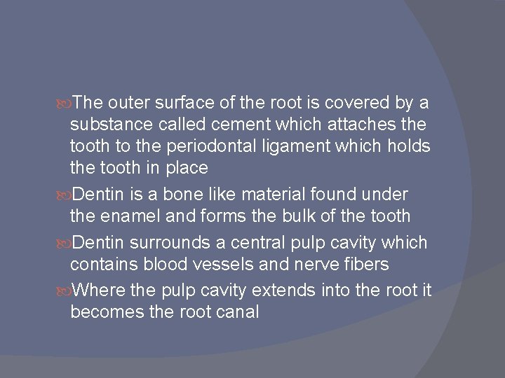 The outer surface of the root is covered by a substance called cement The outer surface of the root is covered by a substance called cement