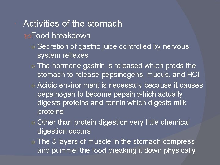 Activities of the stomach Food breakdown ○ Secretion of gastric juice controlled by Activities of the stomach Food breakdown ○ Secretion of gastric juice controlled by