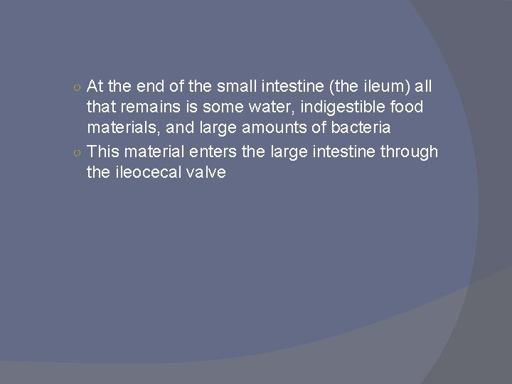 ○ At the end of the small intestine (the ileum) all that remains is ○ At the end of the small intestine (the ileum) all that remains is