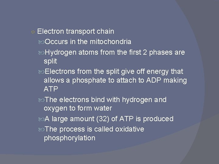 ○ Electron transport chain Occurs in the mitochondria Hydrogen atoms from the first 2 ○ Electron transport chain Occurs in the mitochondria Hydrogen atoms from the first 2